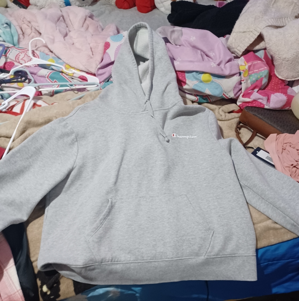 Champion Gray Athletic Hoodie